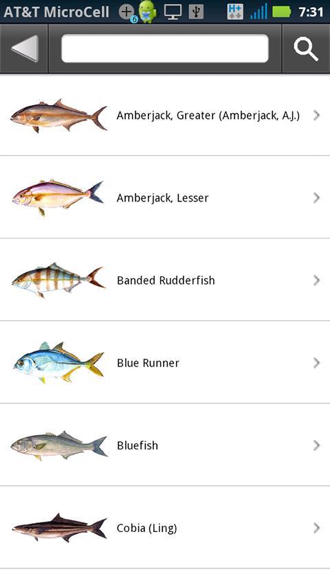 SA Fishing Regulations