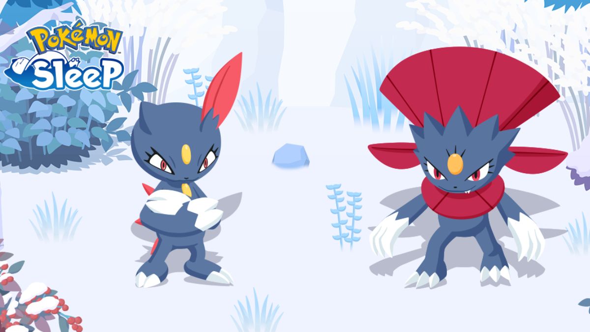 كيفية الحصول على Sneasel و Weavile في نوم بوكيمون