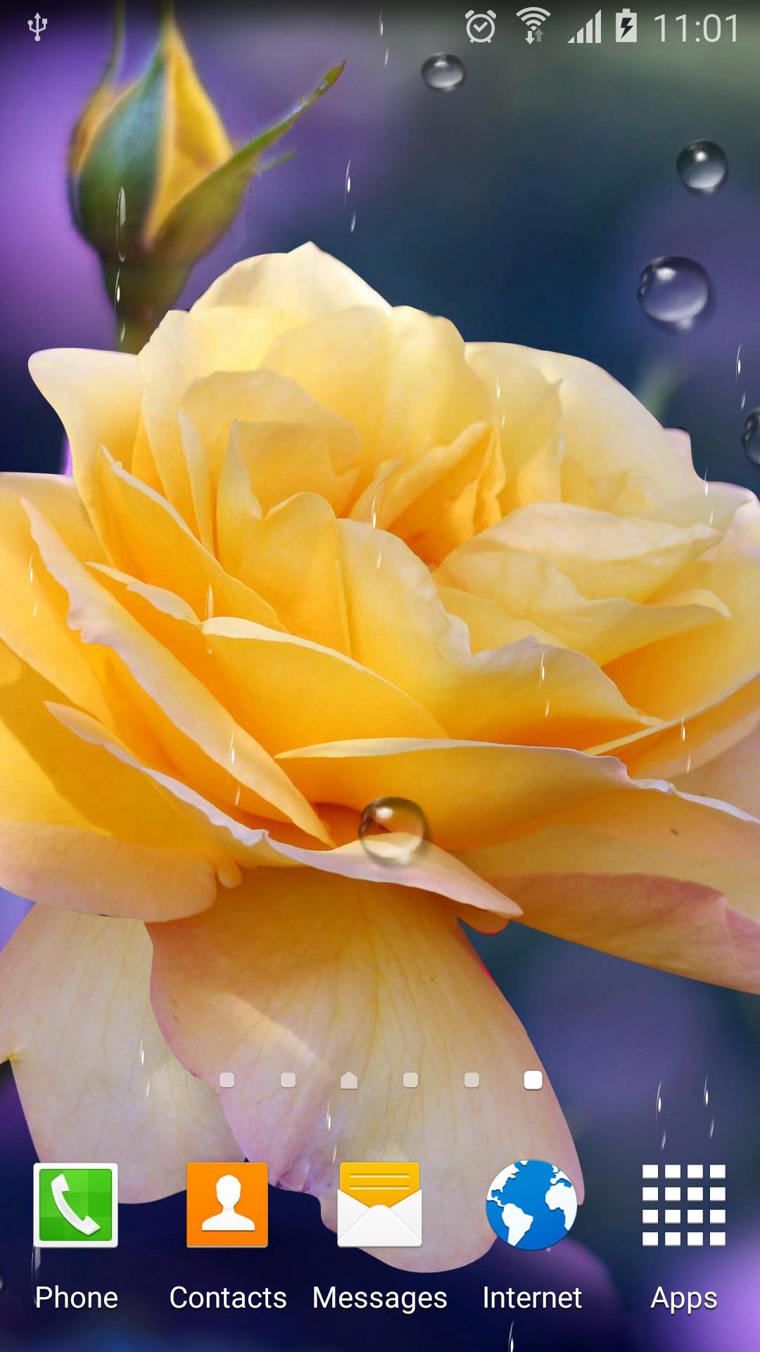 Roses Wallpaper