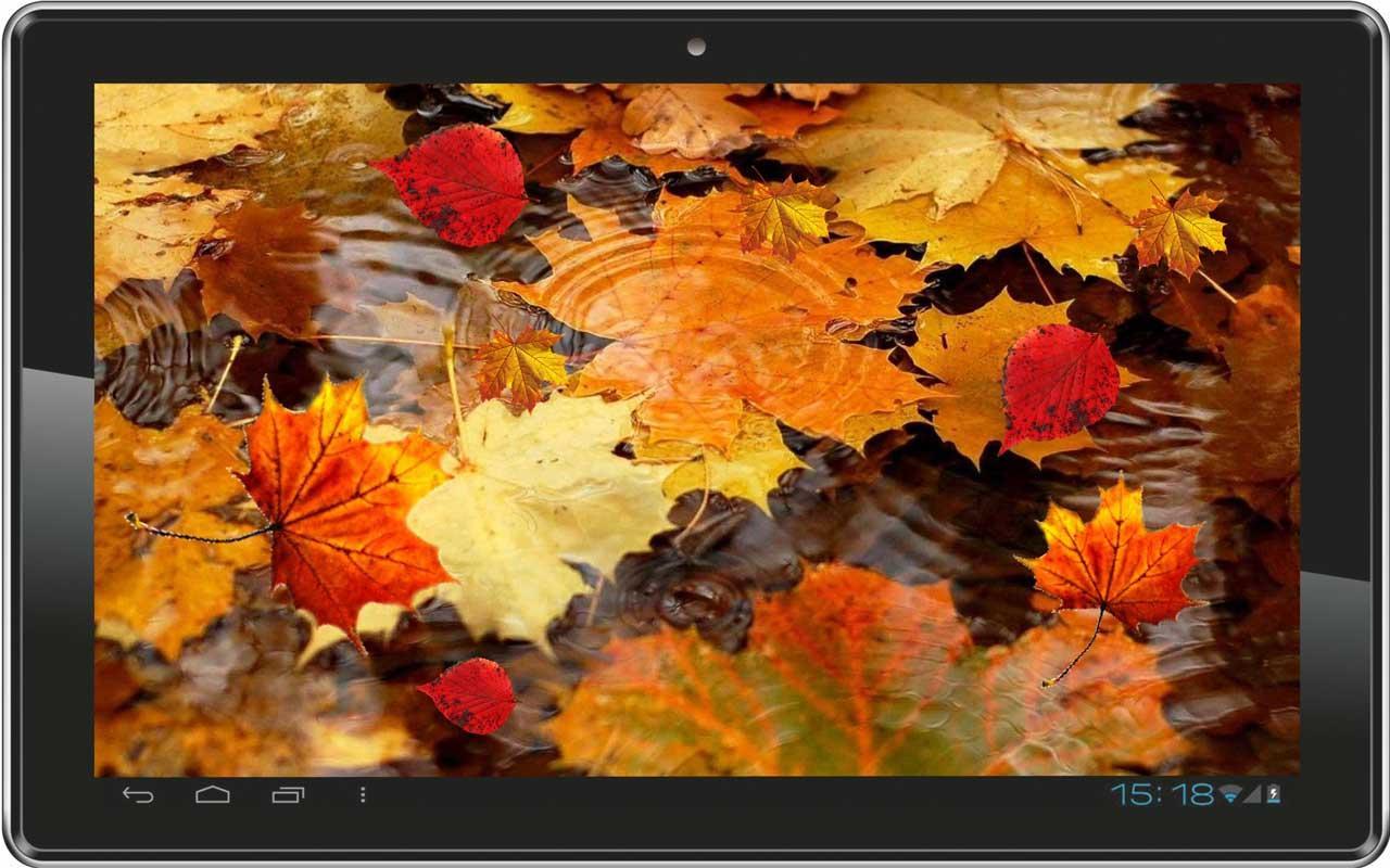 Autumn Rain live wallpaper