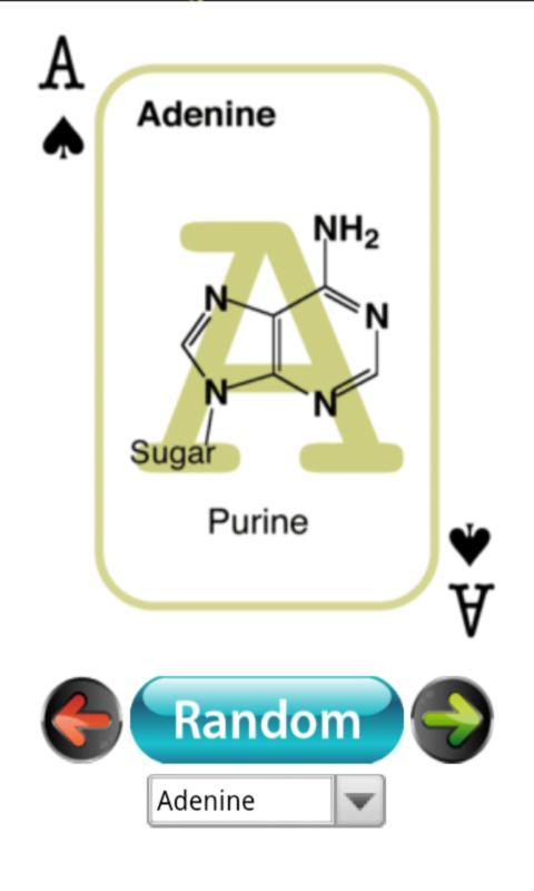 BioChem Euchre Deck