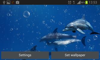 Under the Sea Live Wallpaper