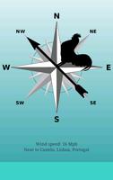 Wind Vane