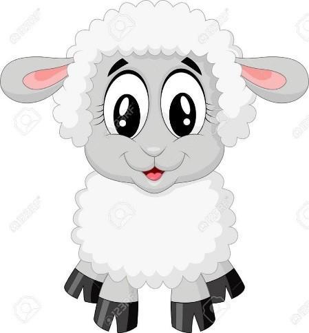 SHEEP IGREJAS