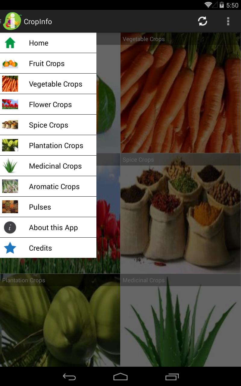 CropInfo