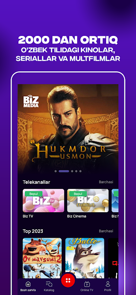 Biz Media