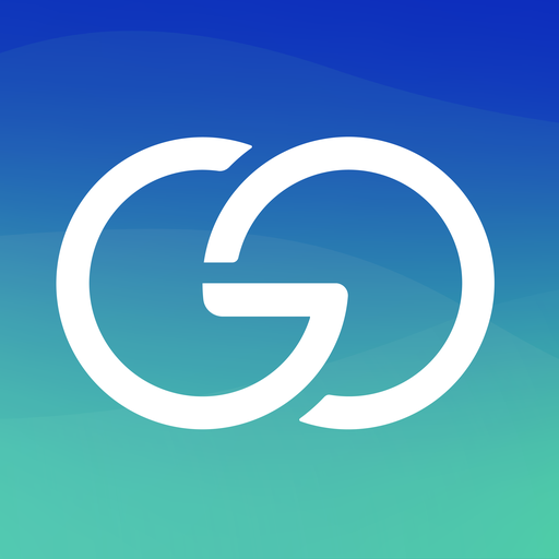 goFLUX