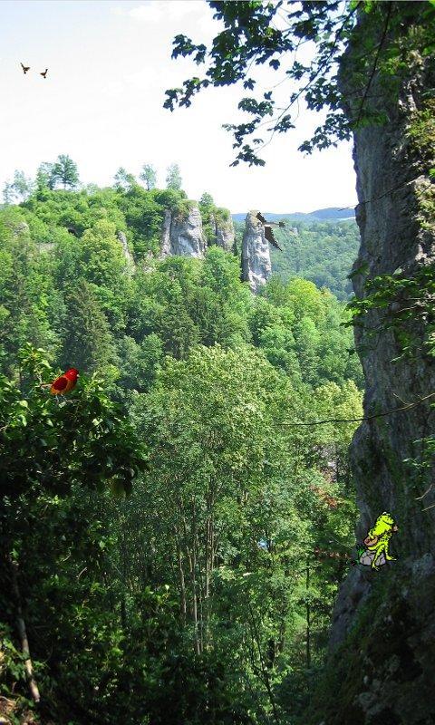 Franconian Switzerland Live