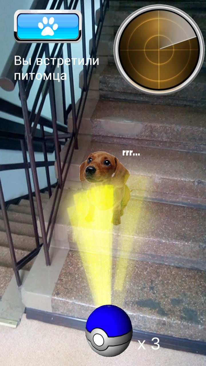 Pokedog GO