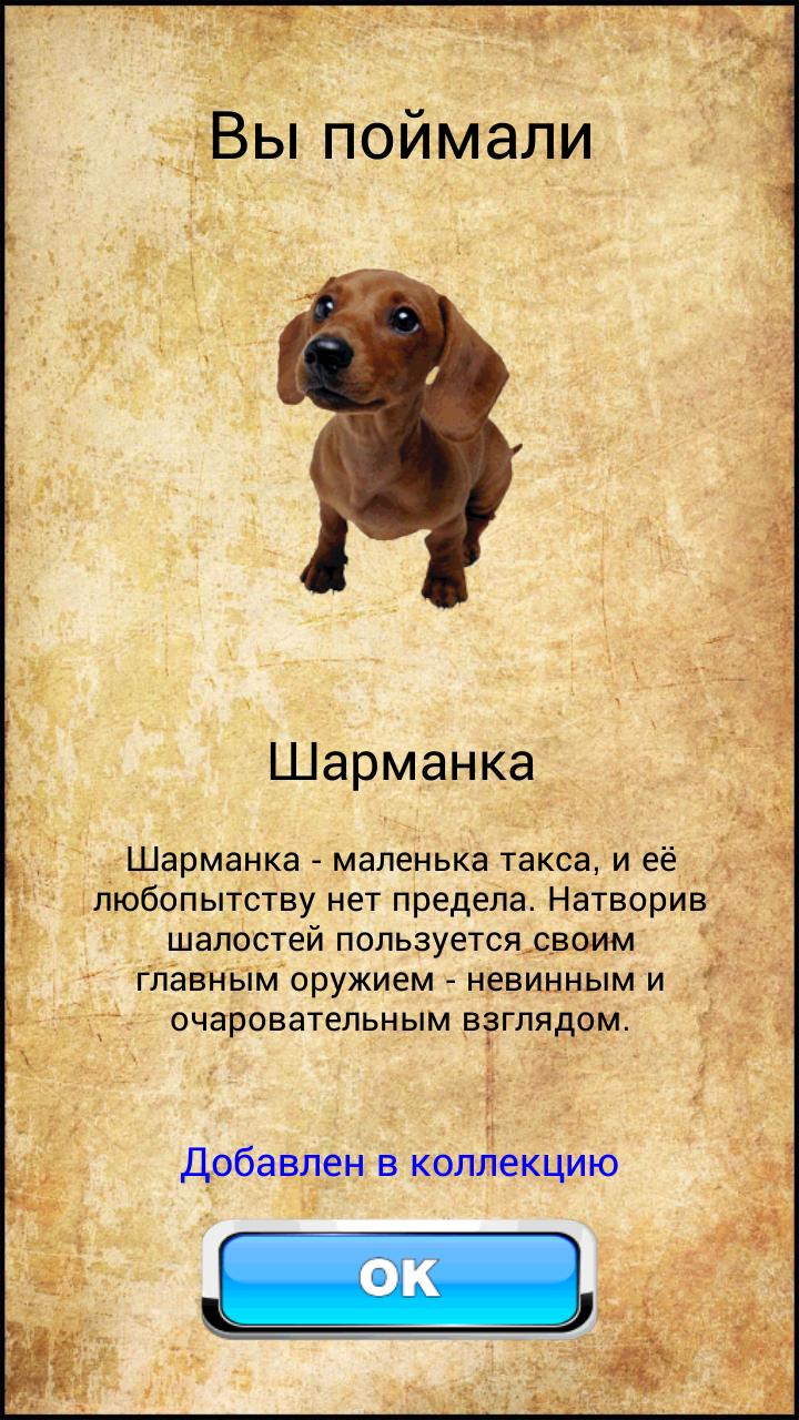Pokedog GO