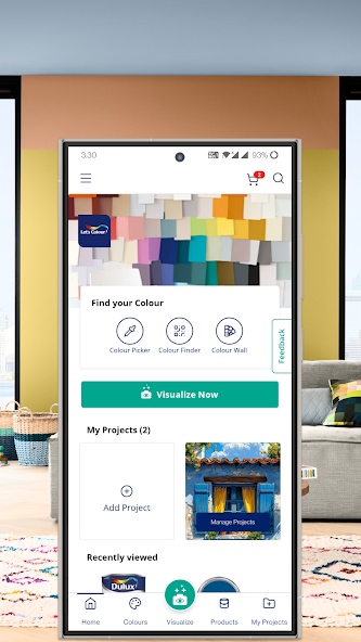 Dulux Visualizer