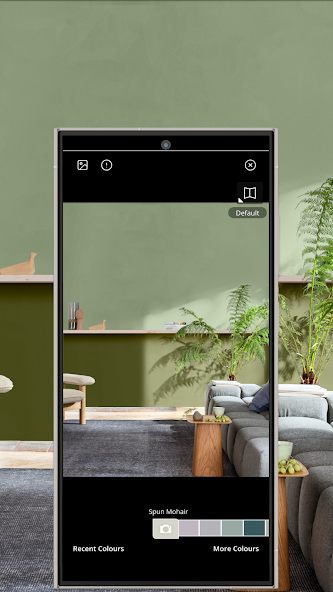 Dulux Visualizer