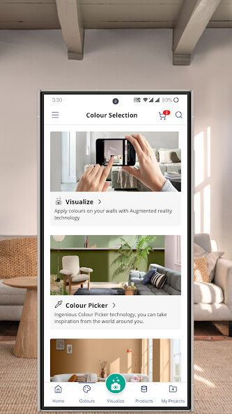 Dulux Visualizer