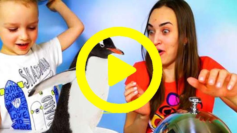 Fan Of Vlad Crazy shows