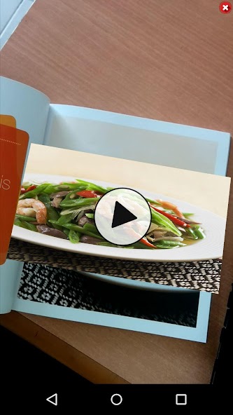 Indonesia In Your Hand