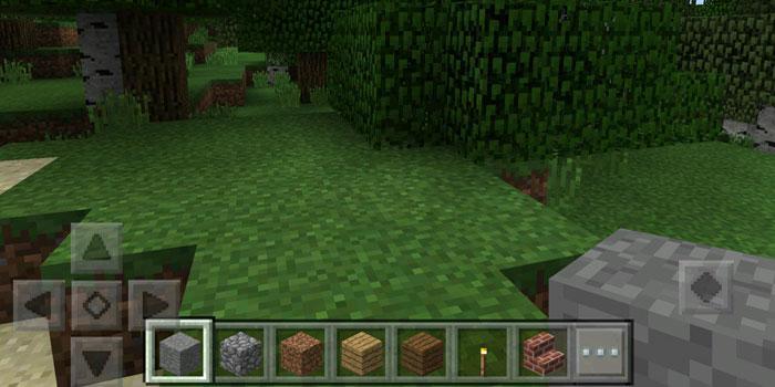 GUI Hack PE Addon