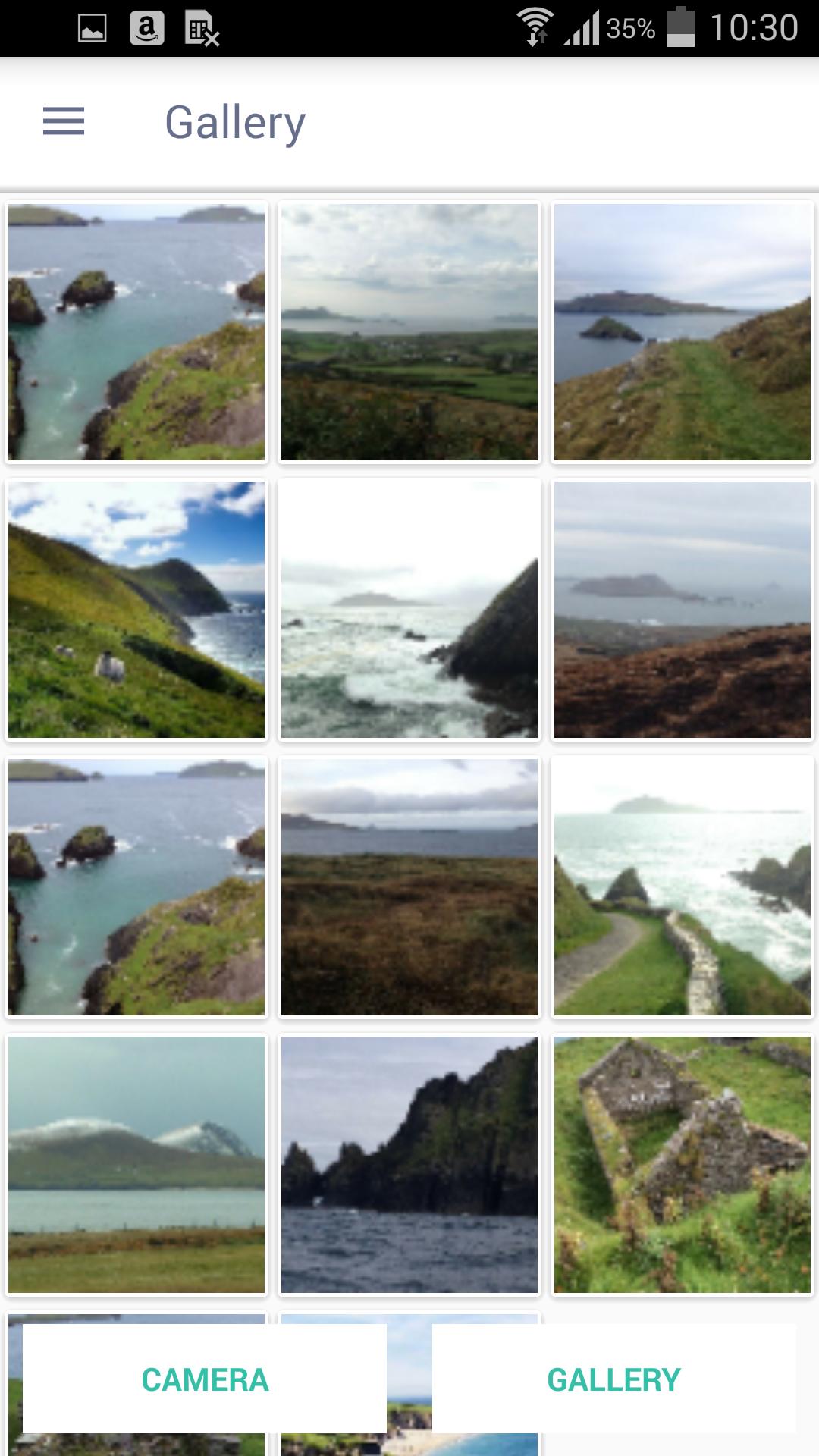 Blasket Islands Tour & Info