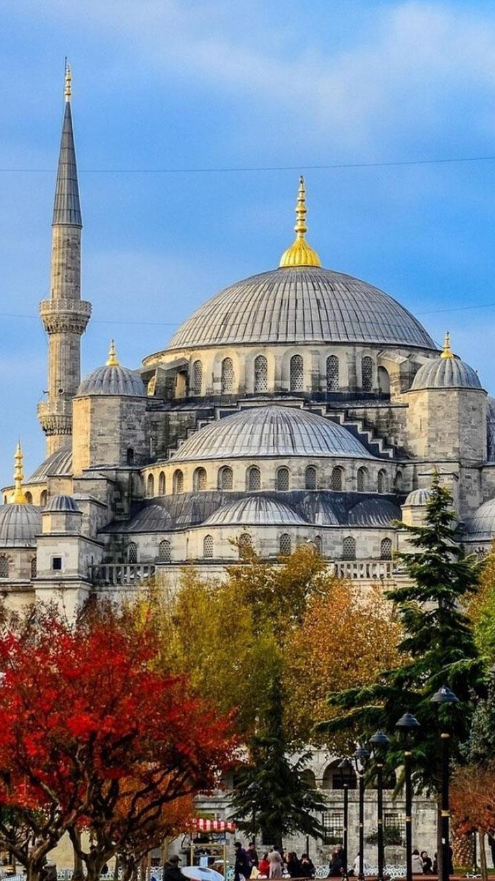 Travel Live Wallpaper