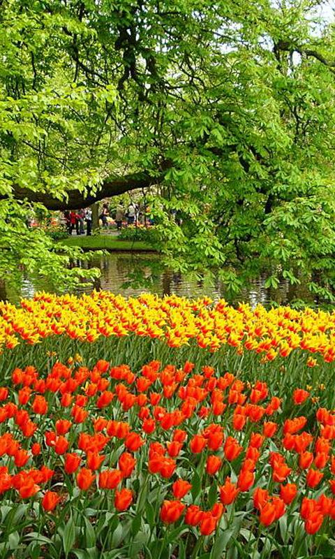 Azerbaijan wallpapers