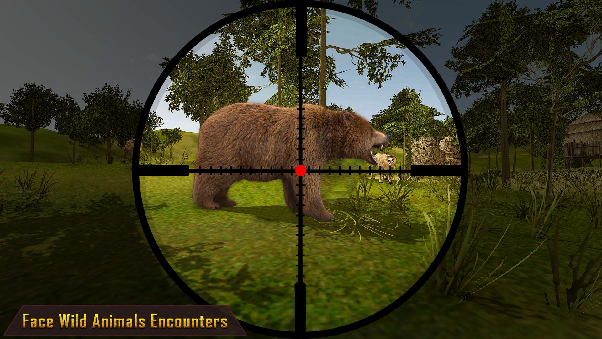 Wild Animal Hunting Games