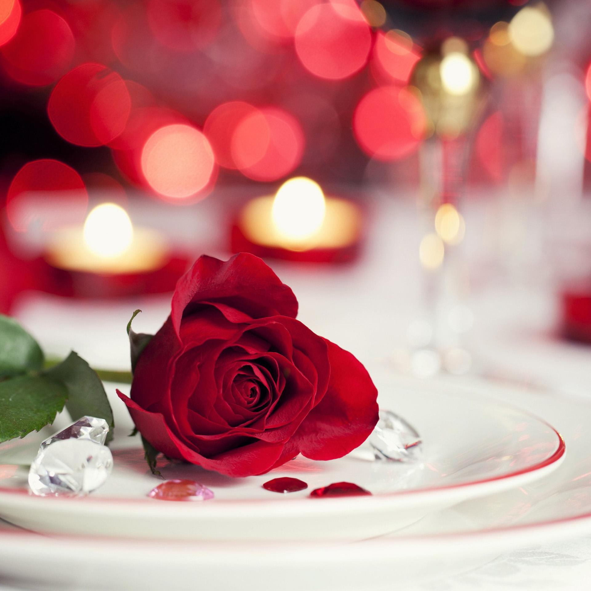 Flower Live Wallpapers