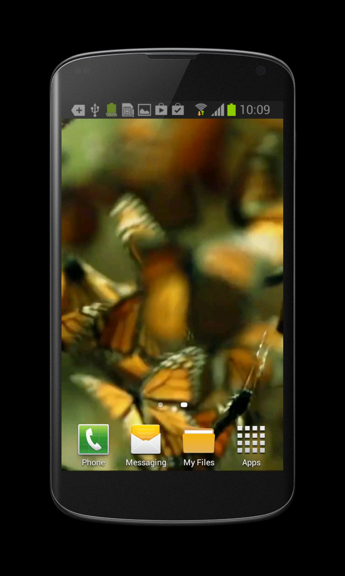 Butterfly Live Video Wallpaper