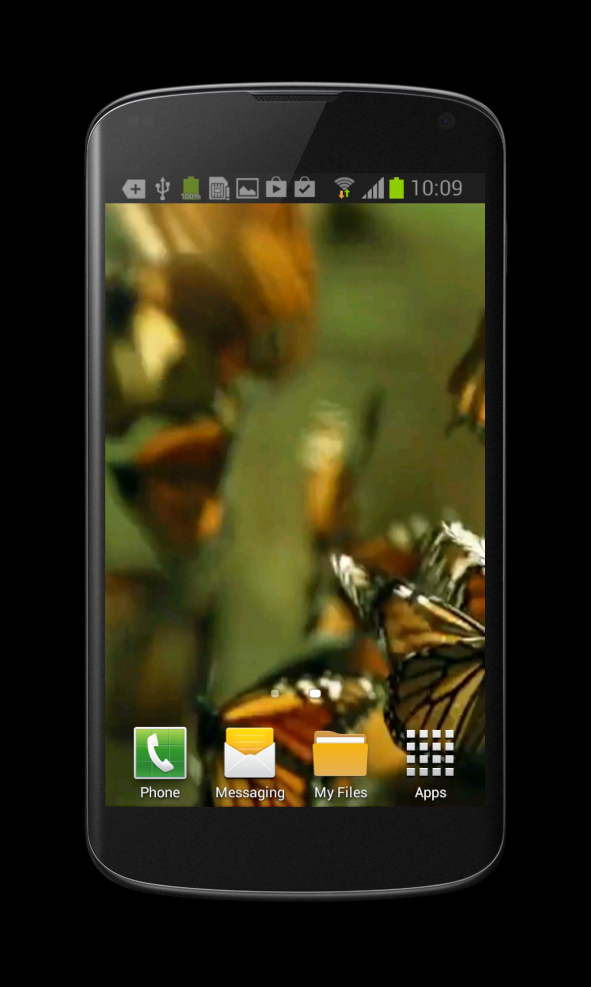 Butterfly Live Video Wallpaper