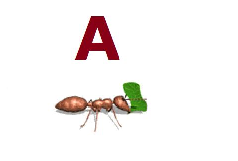 ABCD for nursery kids