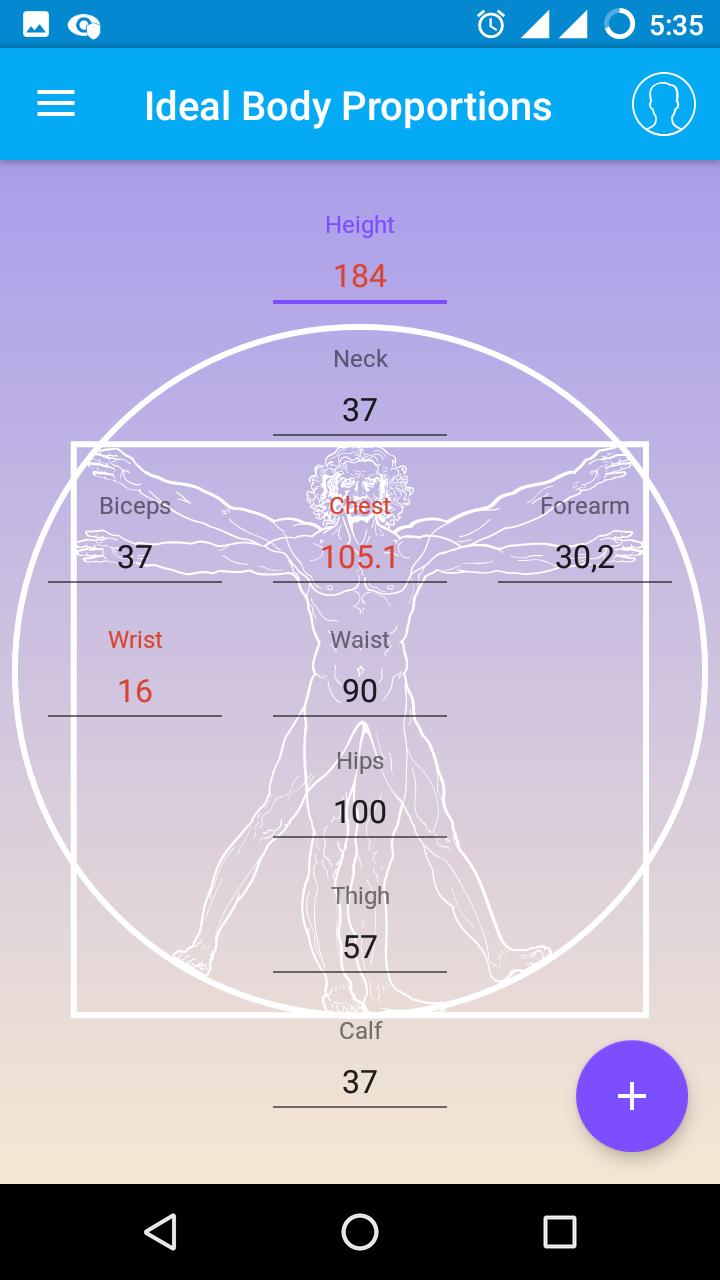 Ideal Body Proportions