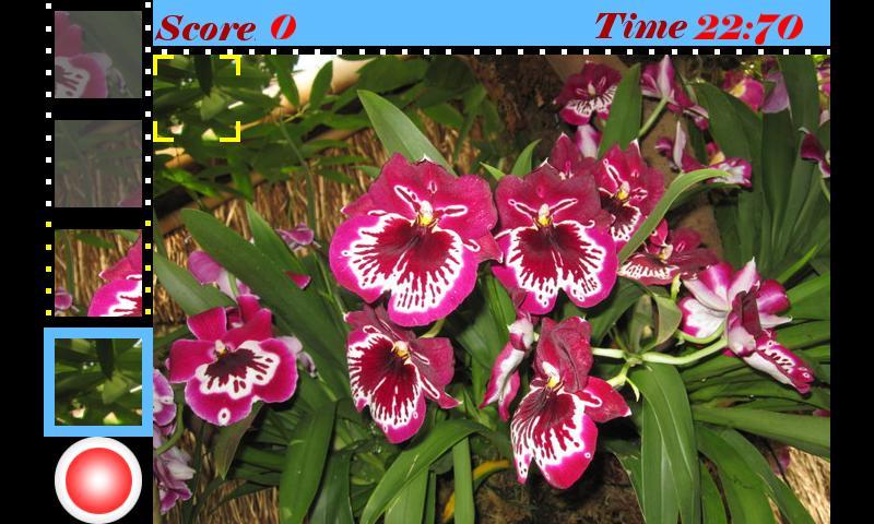 Paparazzi Trainer Free