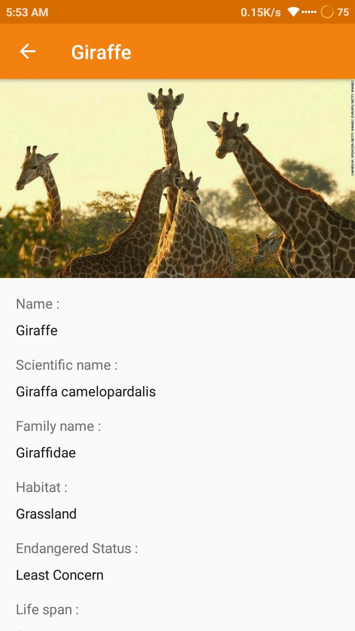Animal Identify