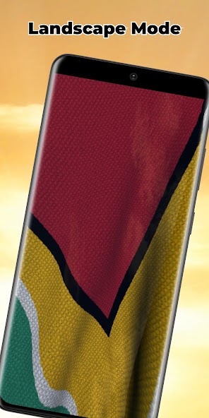 Guyana Flag