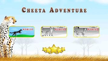 Cheetah Adventure