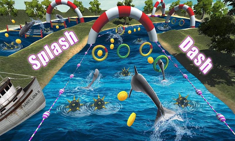 Dolphin Racing Simulator 3D