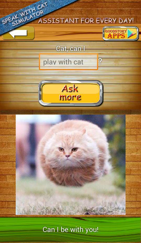Ask Cat Speak Simulator