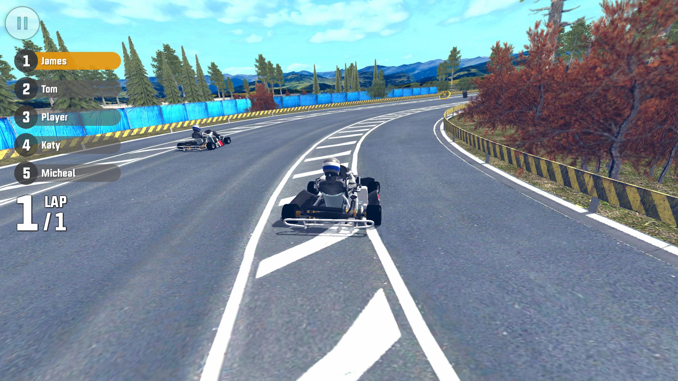 Go Kart Drift Racing