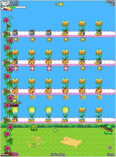 Nong Trai Hoang Cung - Vuon HC