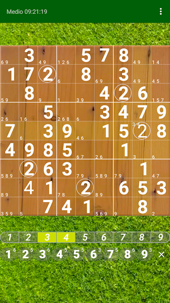 Sudoku. Oh no, Another one!
