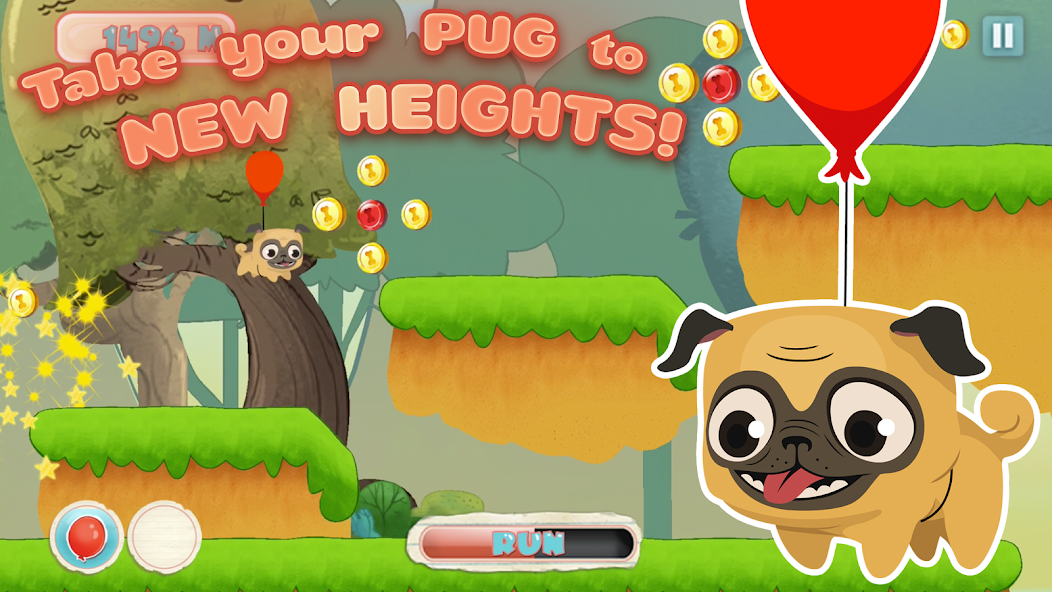 Pug Run